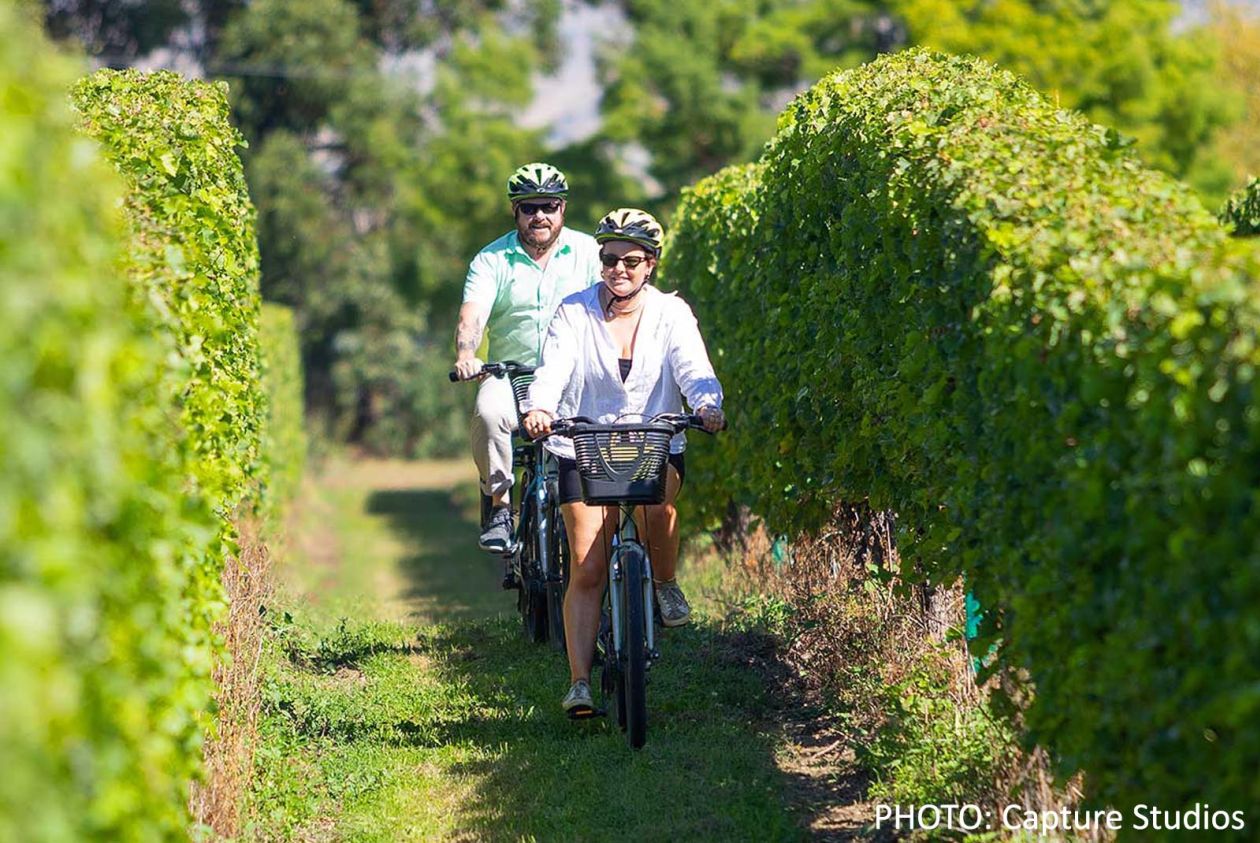 Marlborough wine tour by bike
